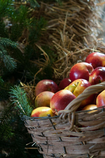 Julmarknad på Österlen i Skåne | Övedskloster