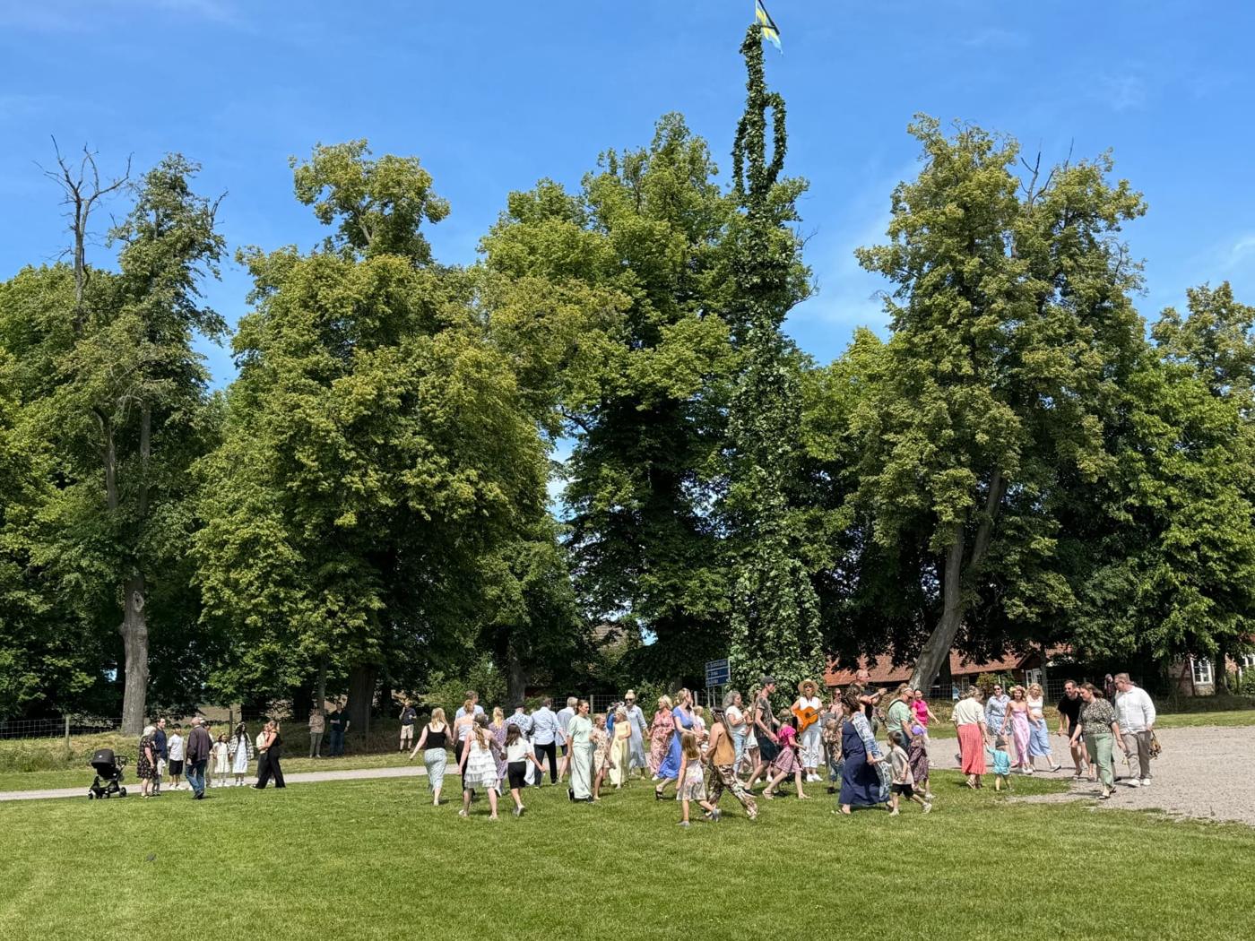 Barn och vuxna dansar kring den lövkläda midsommarstången på gräsmattan i Öveds Eke under blå himmel