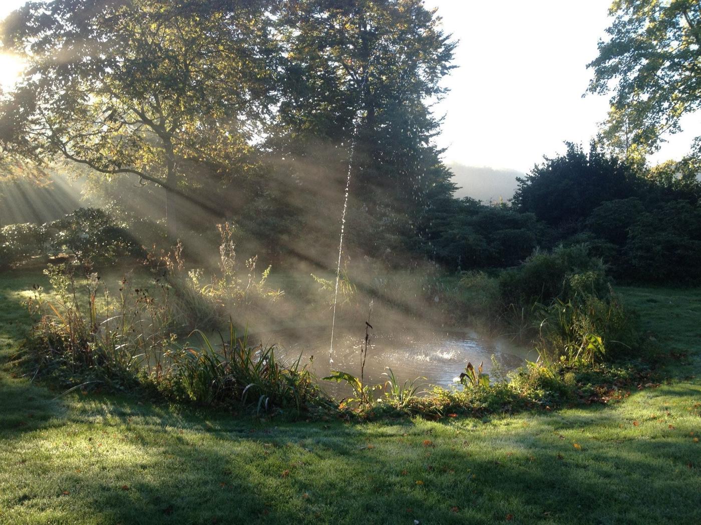 Springvattnet i Övedsklosters park